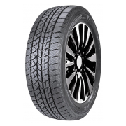 Double Star Dw02 255/45R20 105T XL